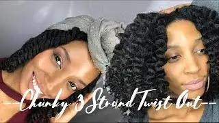 CHUNKY 3 STRAND TWIST OUT - Brand Mixing! | Dana Nicole