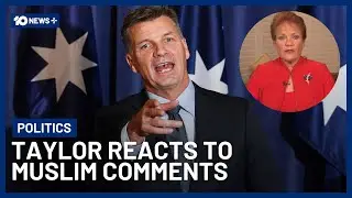 Angus Taylor Calls Out Pauline Hanson Over Muslim Comments | 10 News+