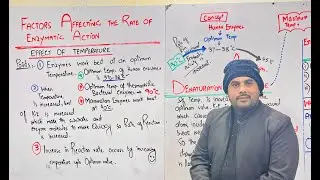 LEC: 8 | FACTORS AFFECTING THE RATE OF ENZYMATIC ACTIVITY |