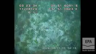EPA Marine Aquatic Ecosystem Condition Report, GSV, Stansbury Nth, m0017, Orontes