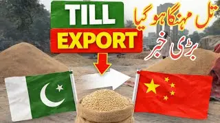 Big Update Pak-China CPEC Trade🇵🇰🇨🇳 | Sesame Seeds Good Rate & International Market 