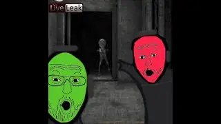 Live leak Simulator