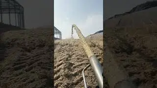 🥔➡️🌽 Ontdek de kracht van aardappelschraapsel als kuilafdekking!