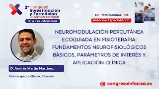 Neuromodulación percutánea ecoguiada en fisioterapia: fundamentos, parámetros y aplicación clínica