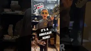 🦕 What Is It?! Proving My Dinosaur Bone Fossils Are Real! | Jayh-D Playz #justforfun #shorts