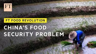 China&rsquo;s intensifying focus on food security | FT Food Revolution