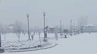 Srinagar's First Snowfall of 2026 (Winter Wonderland), #Snow