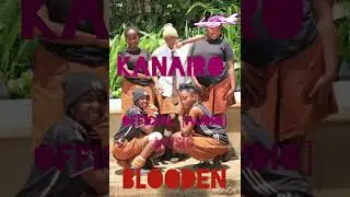 Kanairo_official audio music_BLOODEN 