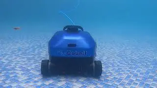 Nu Cobalt NC52 pool cleaner, wall climber for Canada market