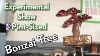 The Experimental Show #13 Pint-Sized: Glass Bonsai Tree