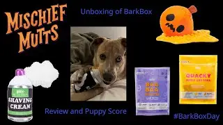BarkBox Halloween October 2021 unboxing in 4K iPhone 13 Pro #barkboxday Bark Box toys