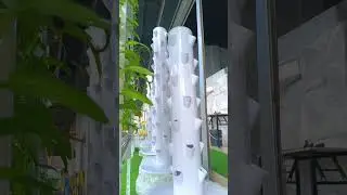 Feel the spin of EZ TOWER