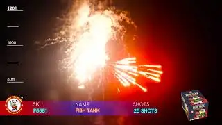 H5581 - Fish Tank 500 Gram Cake