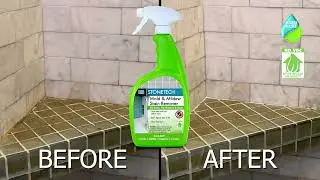 How to Clean Mold and Mildew from Stone, Tile and Grout with STONETECH Mold & Mildew Stain Remover