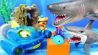 Mutant Shark Alert~! Go Octonauts Gup Q, Rescue Sea Creatures - ToyMart TV