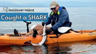 FISHING & Up Close with WILDLIFE #seal #eagles 🦭🦅