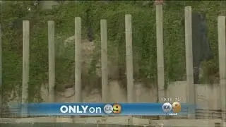 Eagle Rock Residents Taking Action Over 'Pillarhenge' In Their Neighborhood