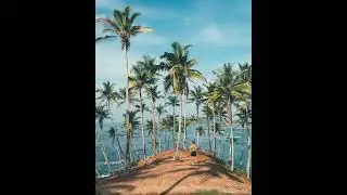 Organic & Deep Progressive House 2022