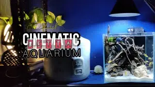IKAN LAGA / CUPANG / BETTA NANO CUBE TANK  WITH DESK LAMP / CINEMATIC