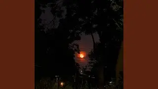 Falling Star