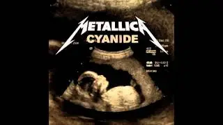 Metallica- The Unforgiven III (Slow)