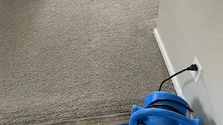 Cleaning after Xmas.