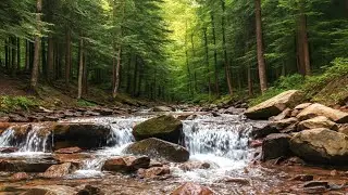 Escape the Chaos and Find Your Inner Peace with Relaxing River Sounds with Birds Chirping