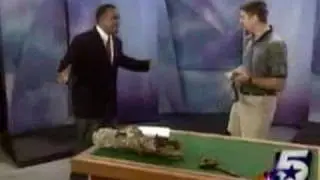 Jumping lizard