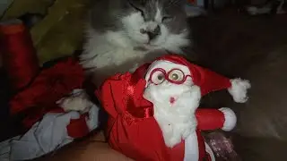 Hoje vamos fazer a calça dele.Vem comigo 