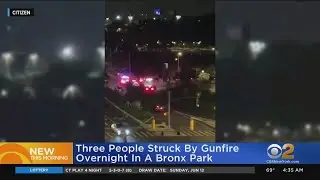 3 people shot at Bronx park
