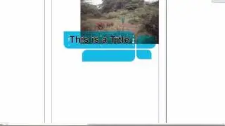 InDesign CS6: Basic Tips & Tricks