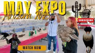 INSANE Bantam Chickens at the Arizona Expo! | Ranchito J&E Vlog
