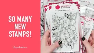 Floral, Sentiment, Slimline Stamps and MORE! | Creative Expressions