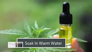 Buy CBD Oil