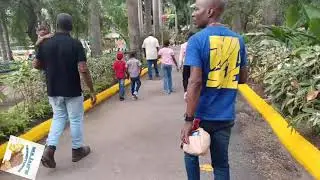 COME EXPLORE HOPE ZOO JAMAICA 🇯🇲 