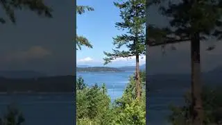 Kenmore Air Seaplane approach Friday Harbor