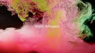 Deleted Echo &ndash; Night Whispers