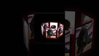 3d rotate image gallery in CSS 