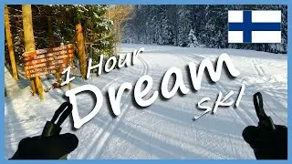 [4k] Treadmill Scenery | Dreamy Finnish Forest Skate Ski | 1 Hour Virtual Ski / Virtual Run
