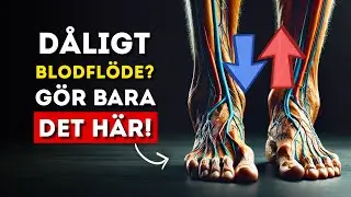 Topp 9 &ouml;vningar f&ouml;r att INSTANT f&ouml;rb&auml;ttra bencirkulationen f&ouml;r seniorer (fantastisk effekt)