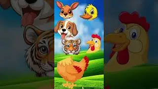 chicken face #funnyvideo #cowcartoon #animals #cowdrawing #trending