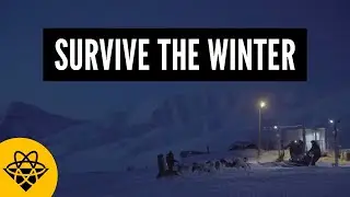 How plants survive the winter