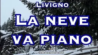 Neve a Livigno | Fiocchi lenti e atmosfera invernale