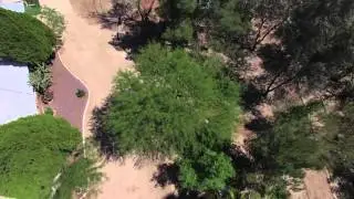 Tucson MultiRotor @ Bruce's Parrot Track