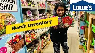 2024 March Inventory: Lowes, Hillsborough NJ- Great Spring & Summer Blooming Bulbs & Tubers!