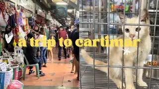 Shopping day at Cartimar Pet Center | Cat Supplies