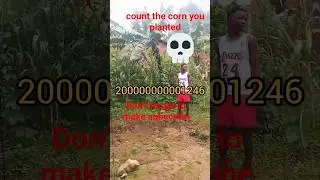 count the corn you planted #funnyvideo #comedy #funny