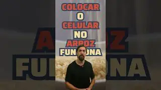 Celular molhado no arroz funciona?