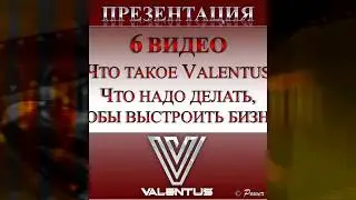 Что делать, чтобы выстроить бизнес в Valentus