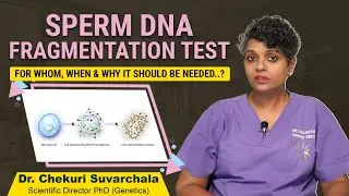 What is Sperm DNA Fragmentation? || Tests For Male Infertility || Dr C Suvarchala || Ziva Fertility
